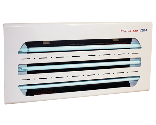 Chameleon_vega_white